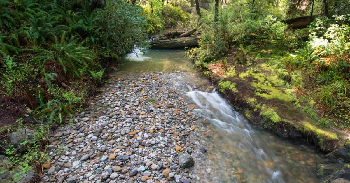 del norte county stream