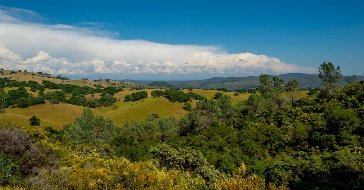 El Dorado County Probate Resources Your Trusted Guide