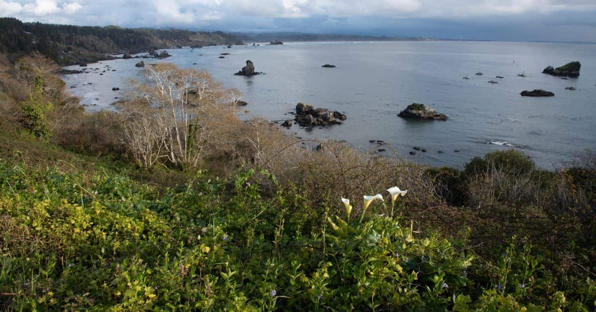 Humboldt County Probate Resources Your Trusted Guide