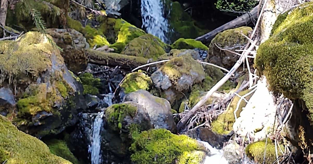 trinity county ca stream